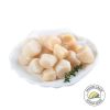 Hotate Scallops (100g - Approx 3 pieces)