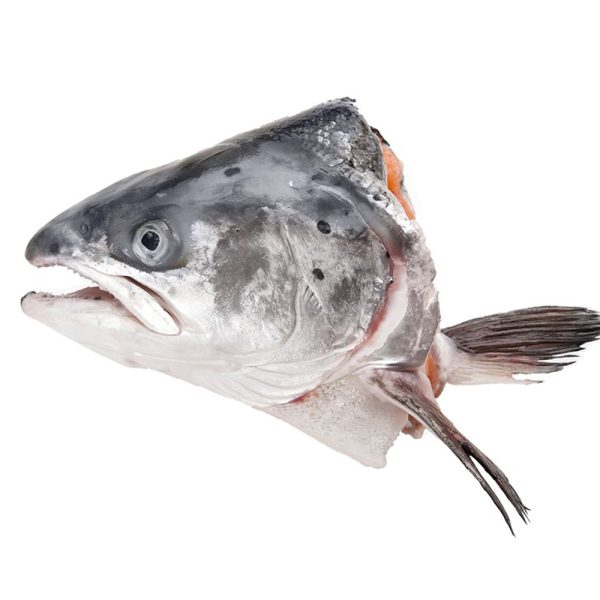 salmon-head