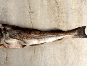 Whole Black cod