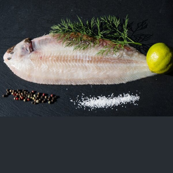 Dover Sole (Pan Ready) 250-300g - Image 2