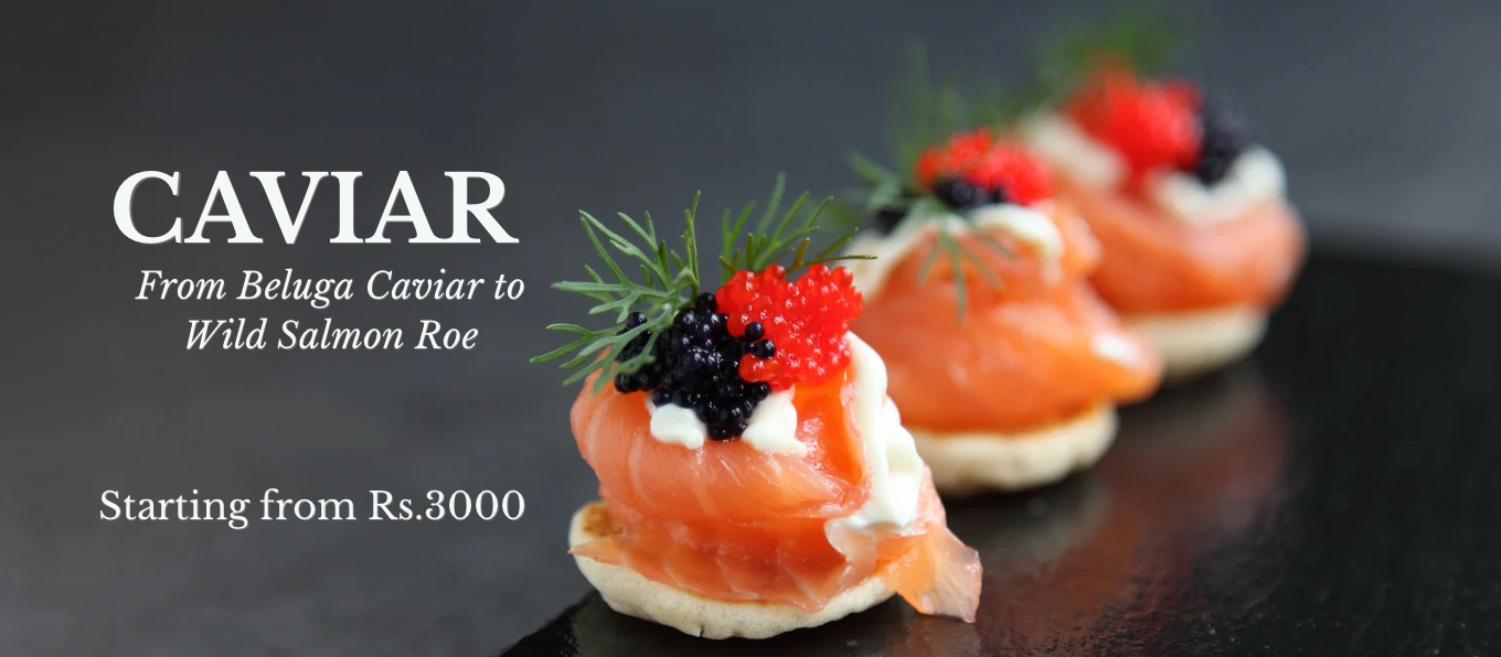 Your paragraph text (1360 x 596 px) - 1