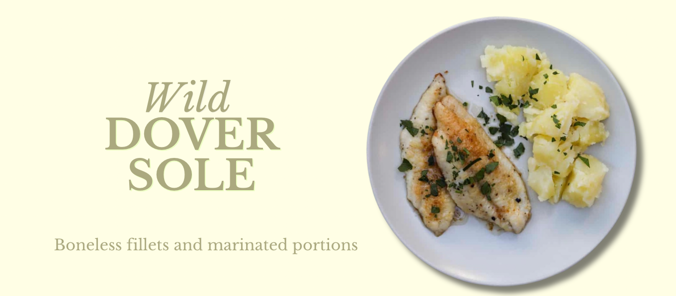 Your paragraph text (1360 x 596 px) - 5