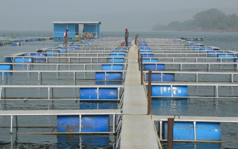 Aquaculture 1