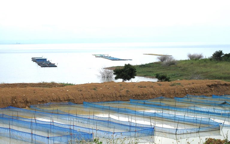 Aquaculture 3